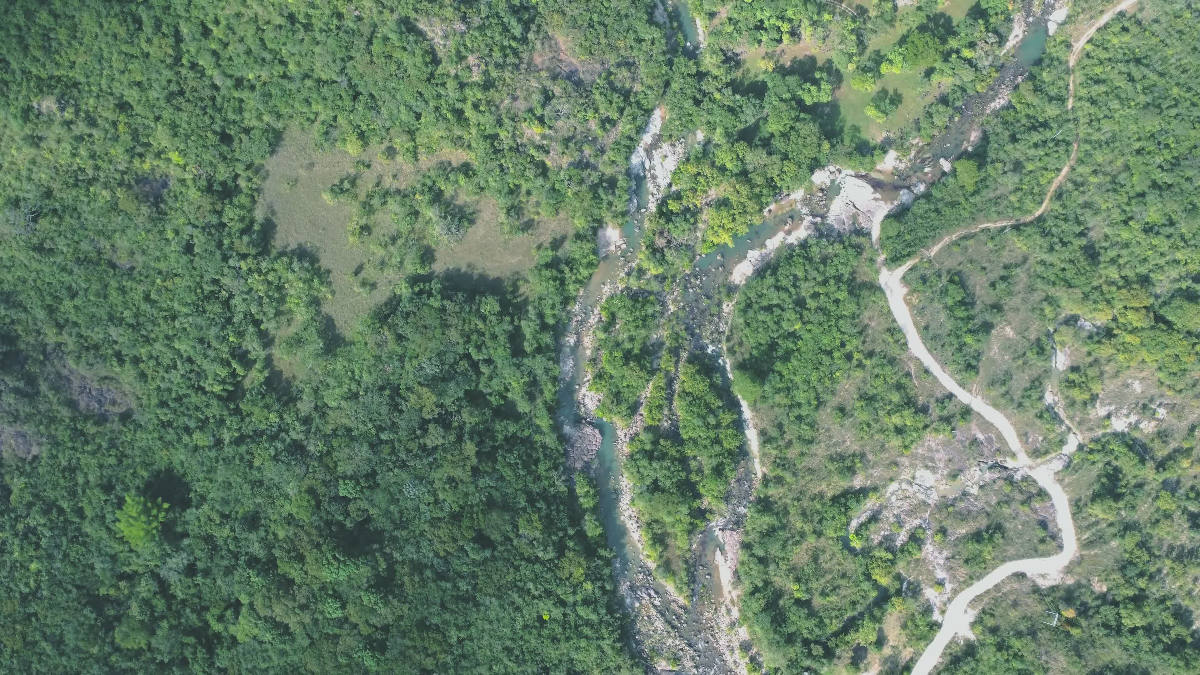 Aerial View of Lush Green Forest and River Free Stock Video Footage ...