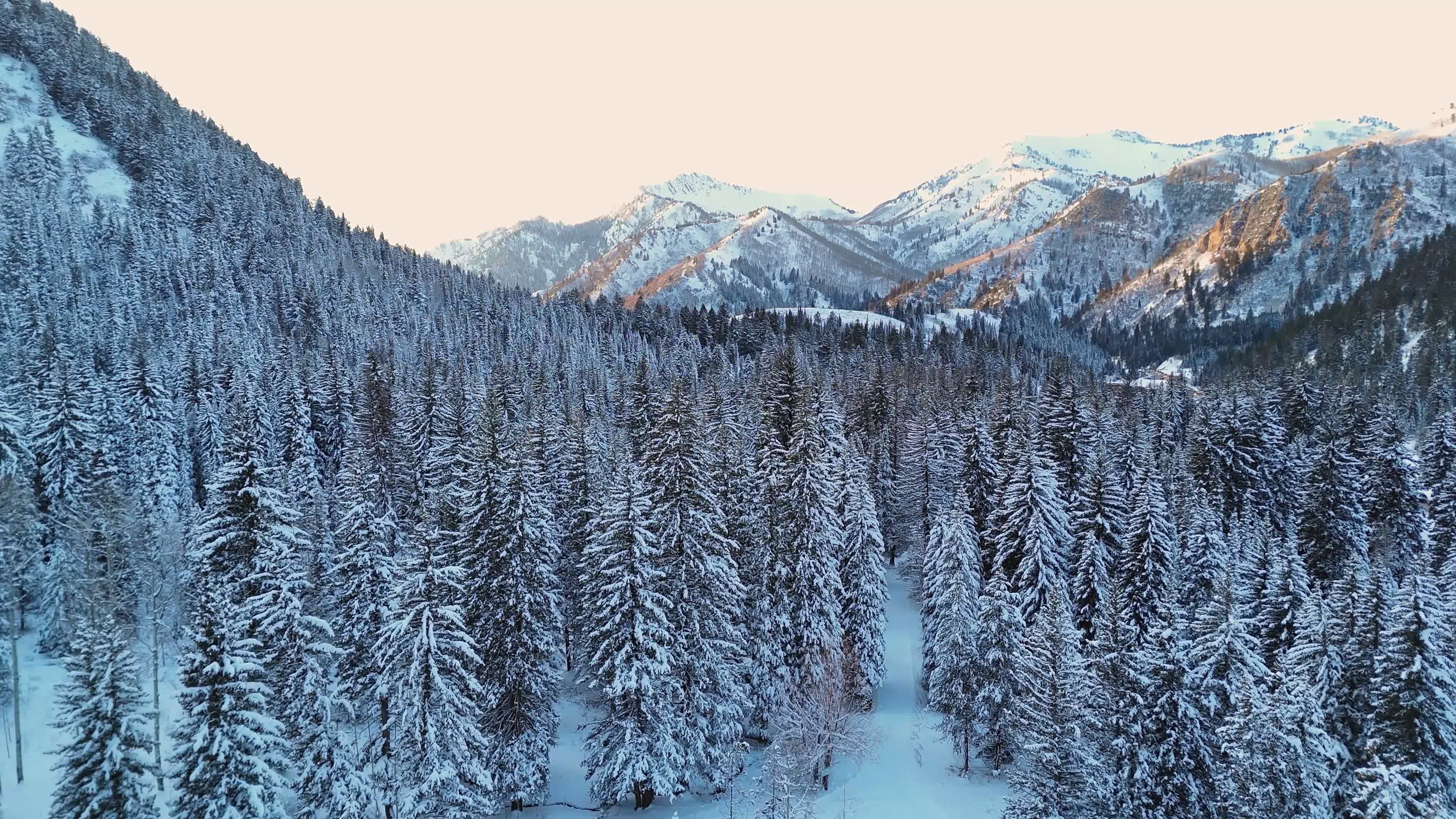 Aerial View of Snowy Forest and Mountains in Winter Free Stock Video ...