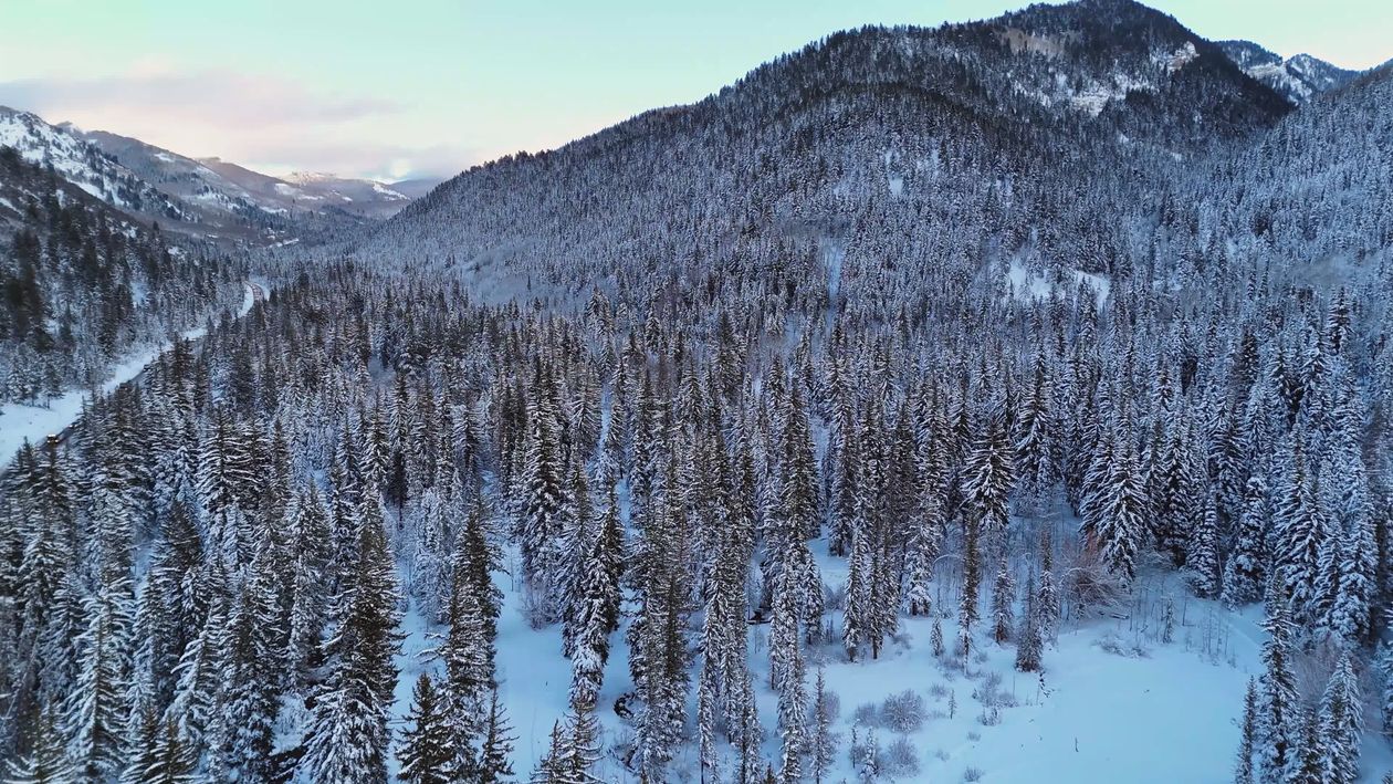 Aerial View of Snowy Mountain Forest in Winter Free Stock Video Footage ...