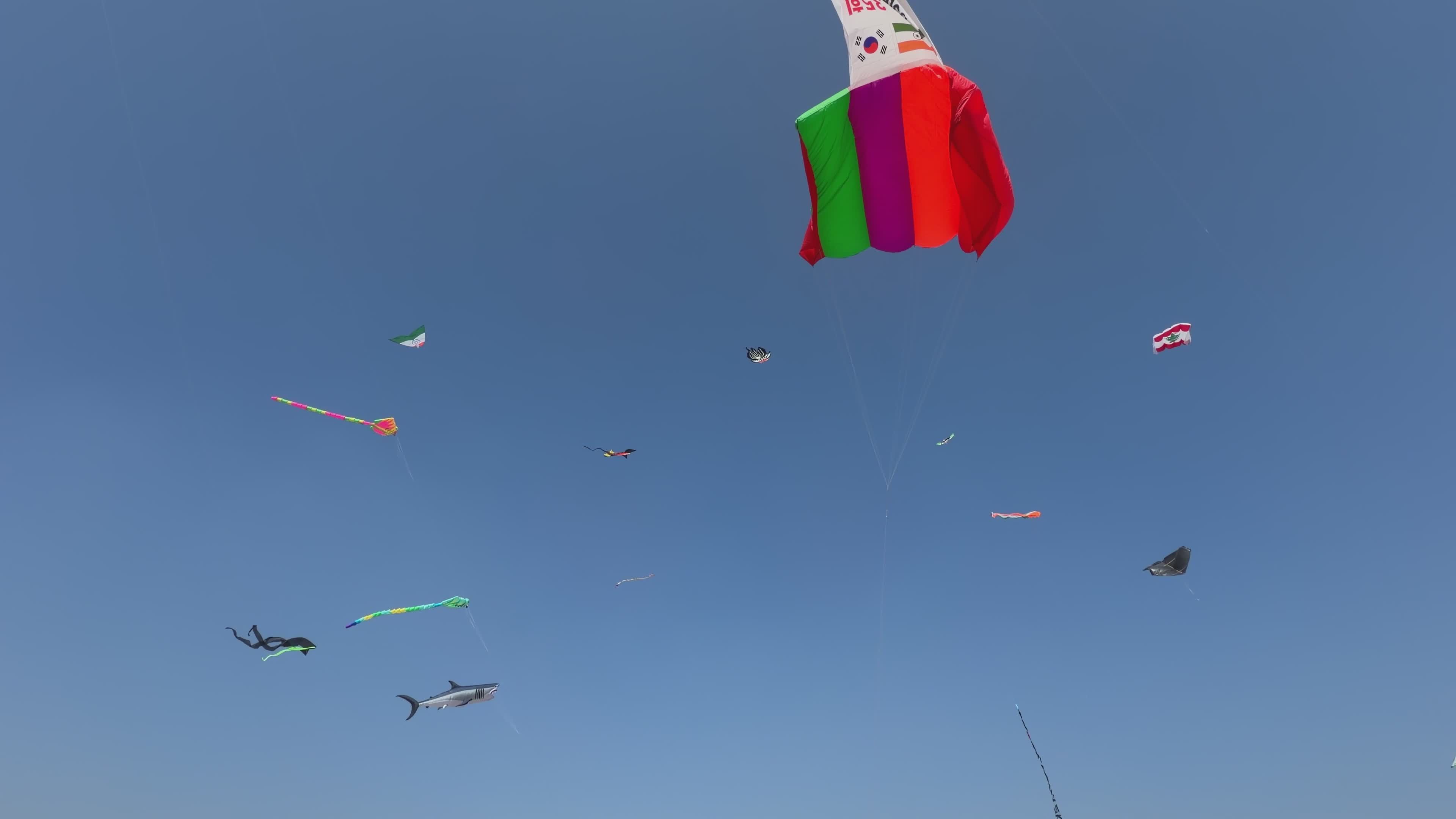 Colorful Kite Festival in Gujarat Skies Free Stock Video Footage ...
