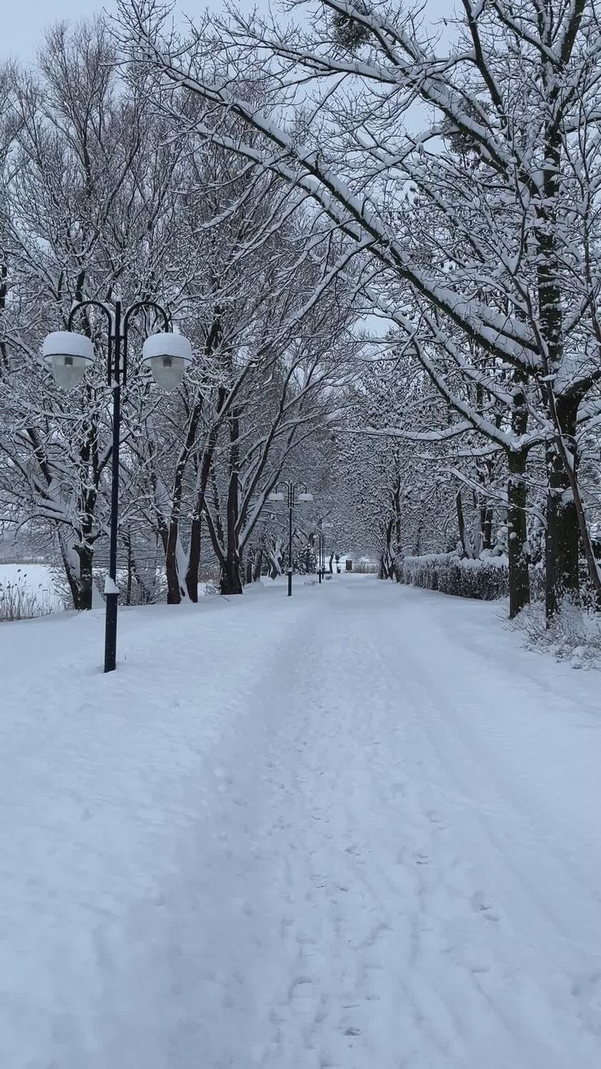 Snowy Winter Park Path with Bare Trees Free Stock Video Footage ...