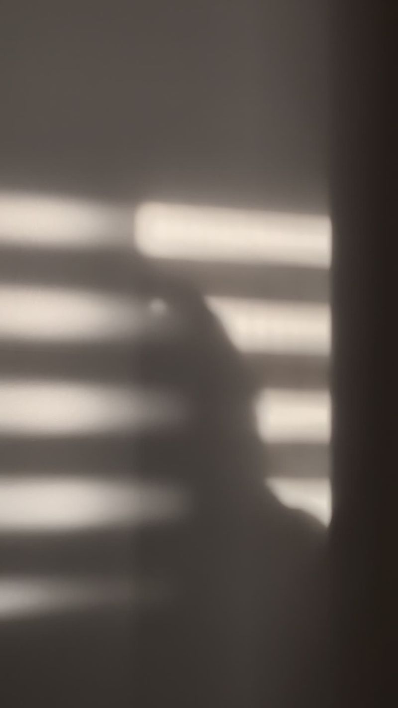 Window Shadow Face window shadows Free Stock Video Footage, Royalty-Free 4K & HD Video Clip