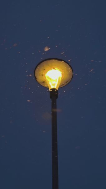 灯笼免费下载视频素材