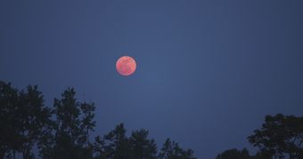 星海广场夜景免费下载高清视频视频素材