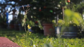 治愈系视频免费下载视频素材免费下载视频素材