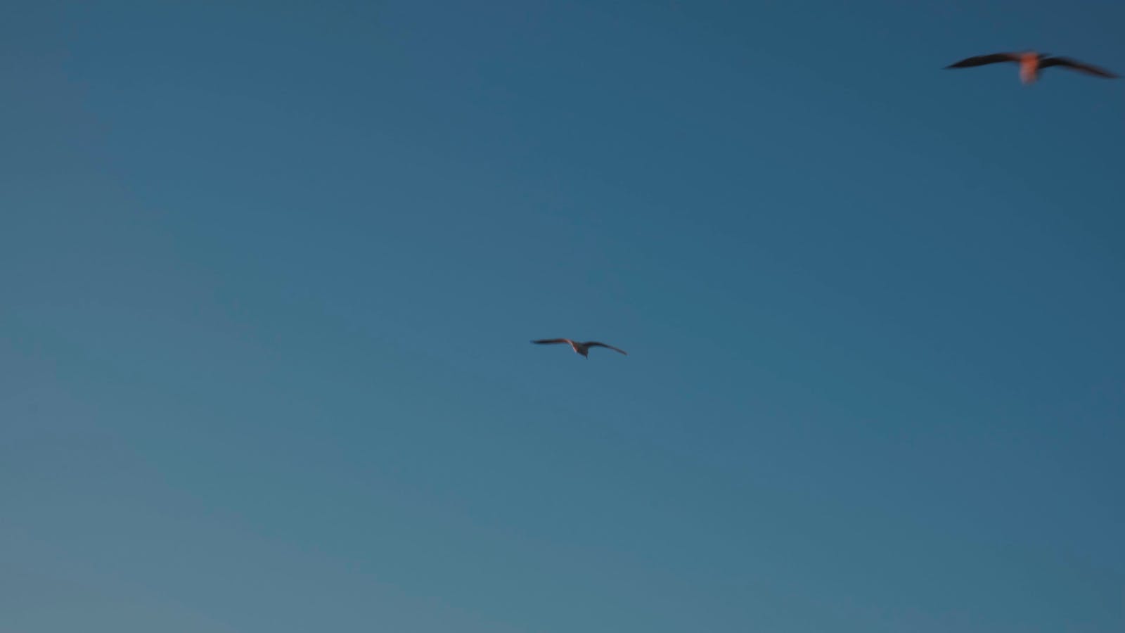 Free Videos Download The BEST Free 4k Stock Video Footage Free HD