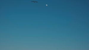 Jackplusjill Full Video Videos, Download The BEST Free 4k Stock Video