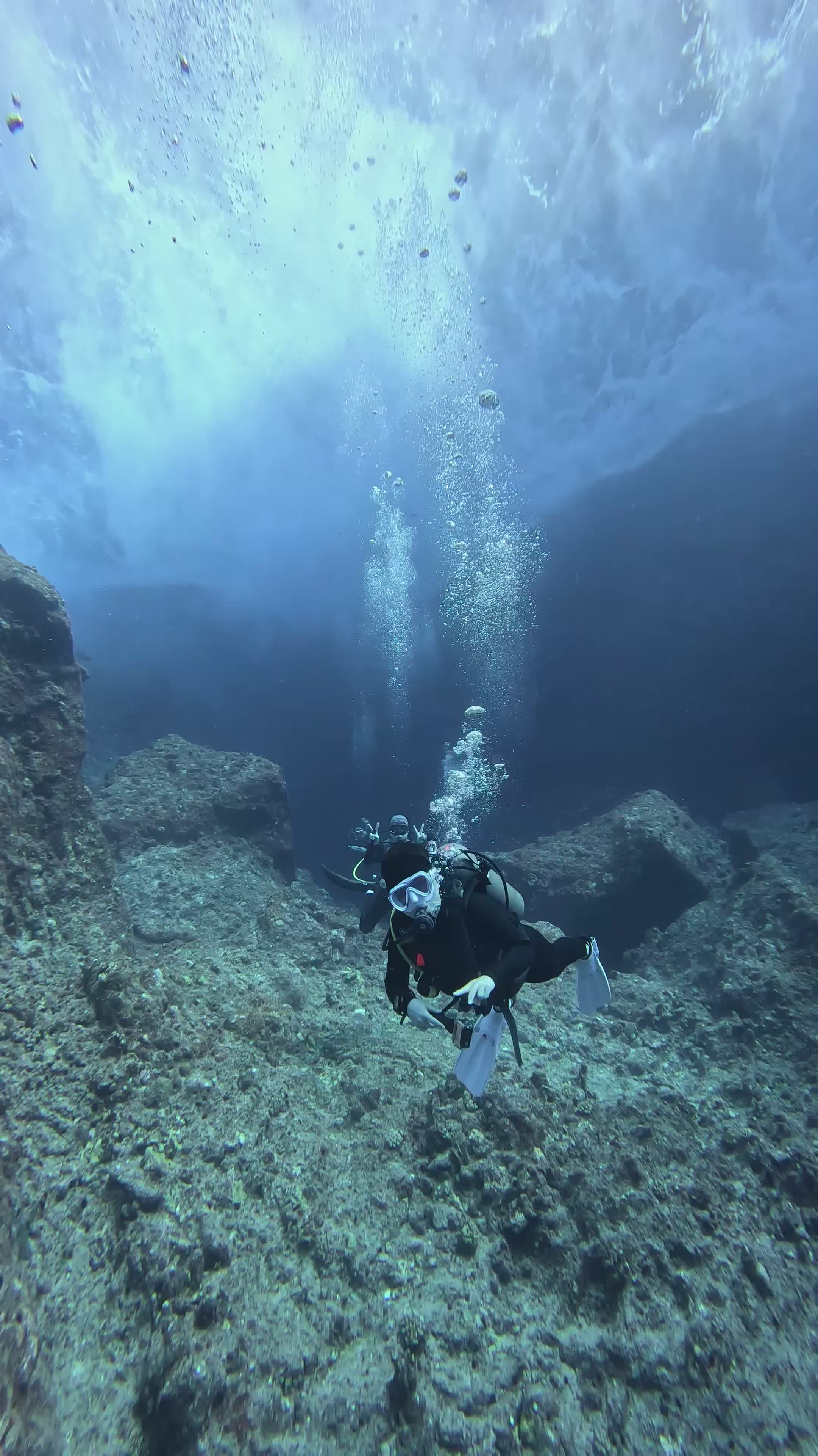 Scuba Diver Exploring Underwater Coral Reefs Free Stock Video Footage ...