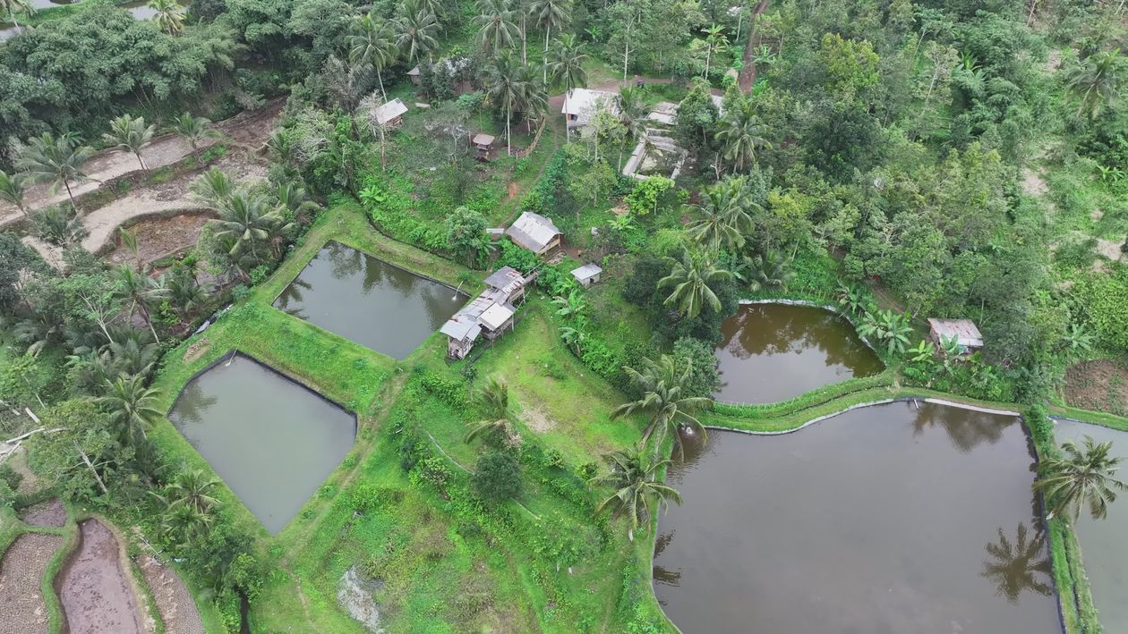 Aerial View of Lush Green Rural Landscapes Free Stock Video Footage ...