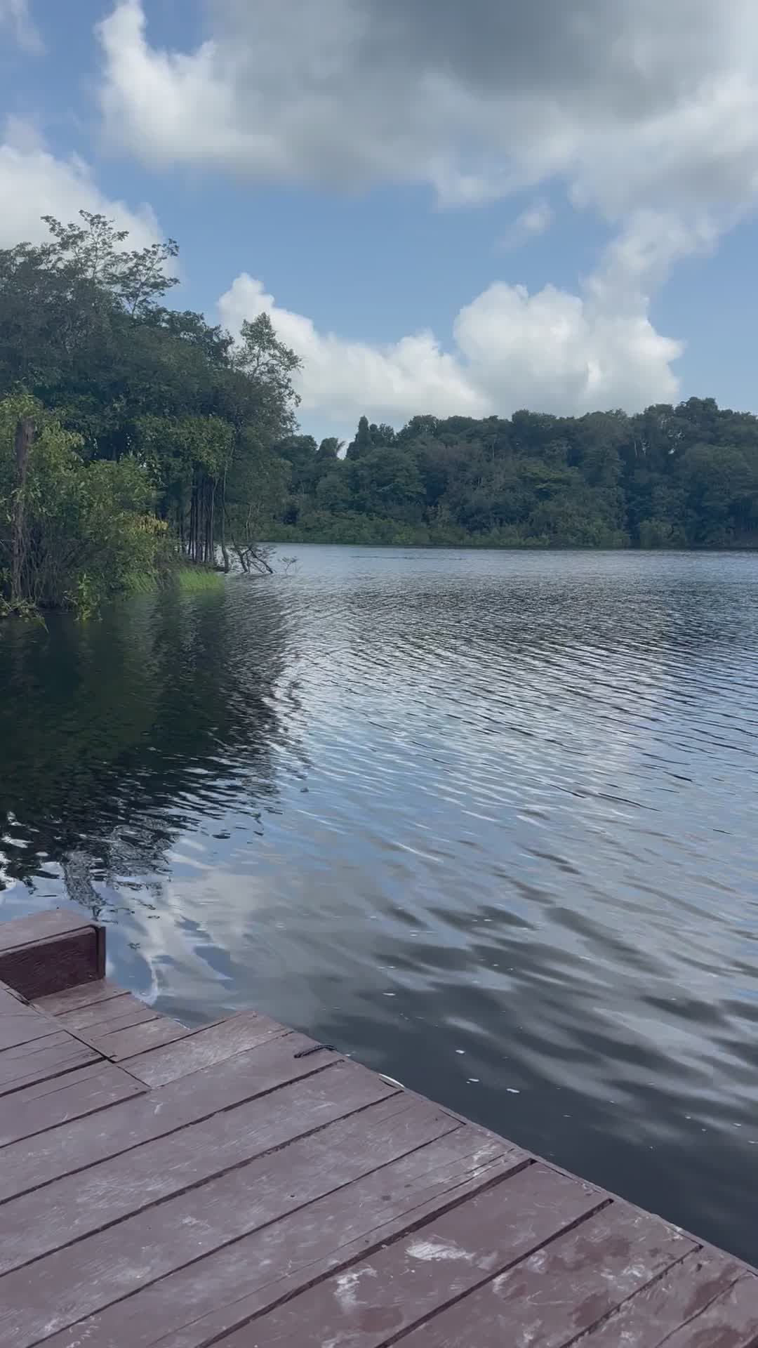 Video by Chris Flxxx