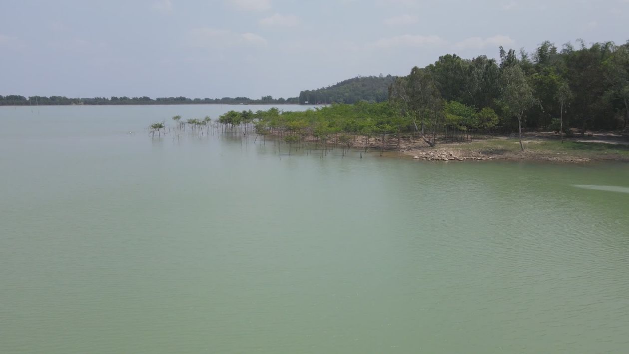 Serene Aerial View of Peaceful Lake and Forest Free Stock Video Footage ...