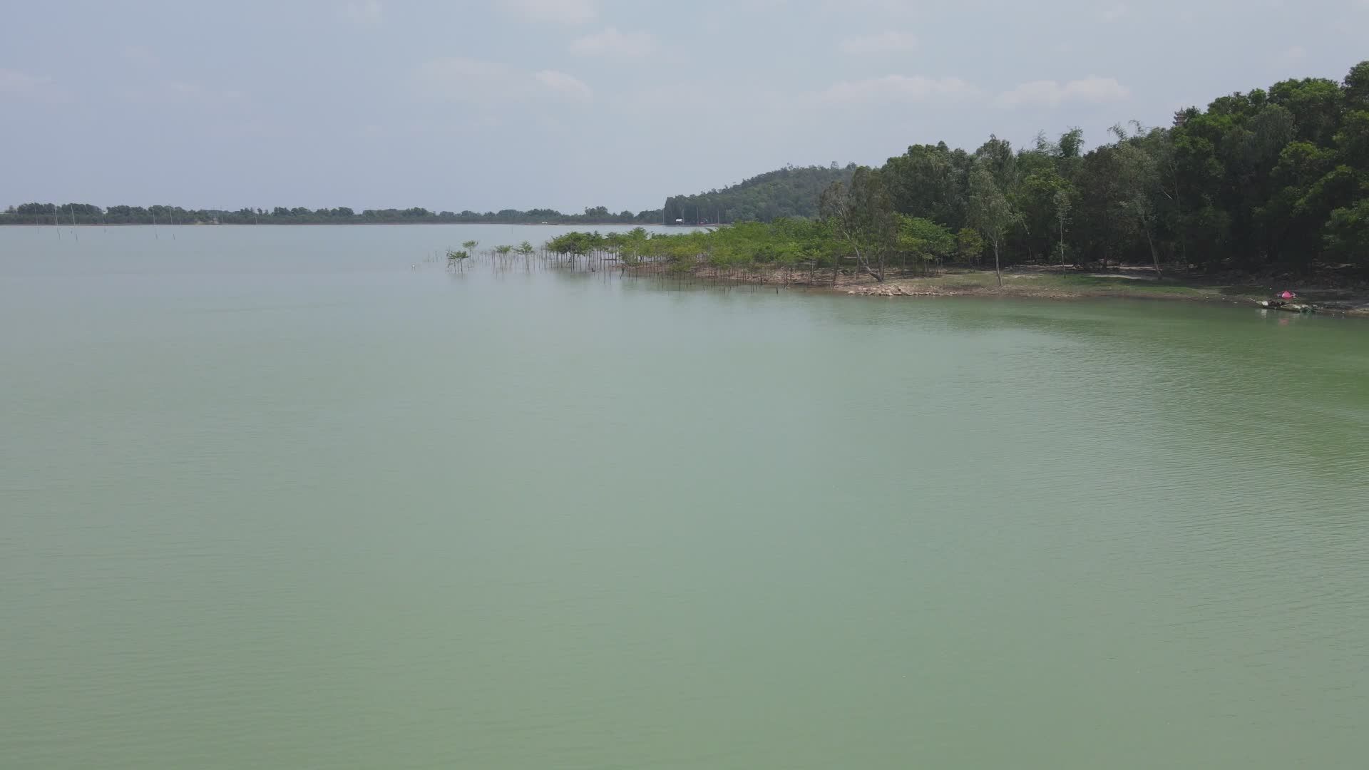 Tranquil Aerial View of Serene Lake and Forest Free Stock Video Footage ...
