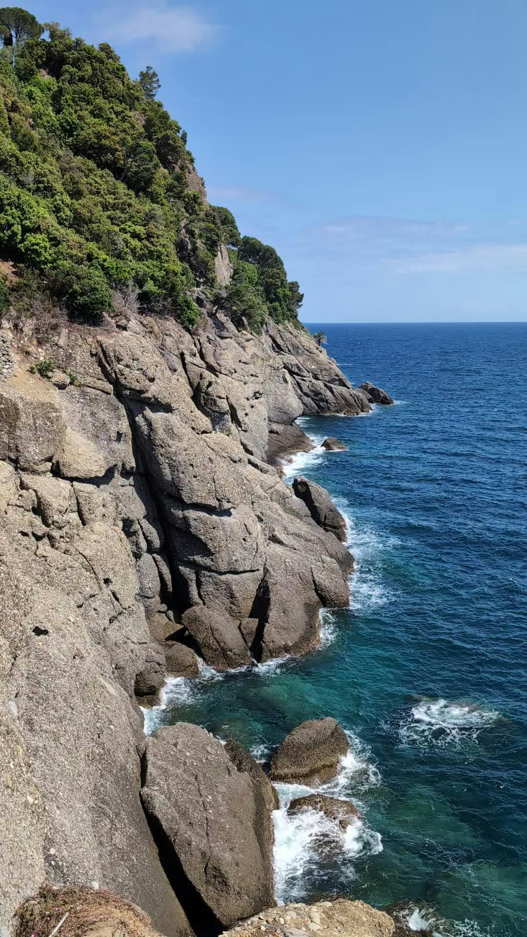 Video by Jasmin kaemmerer