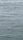 seagull