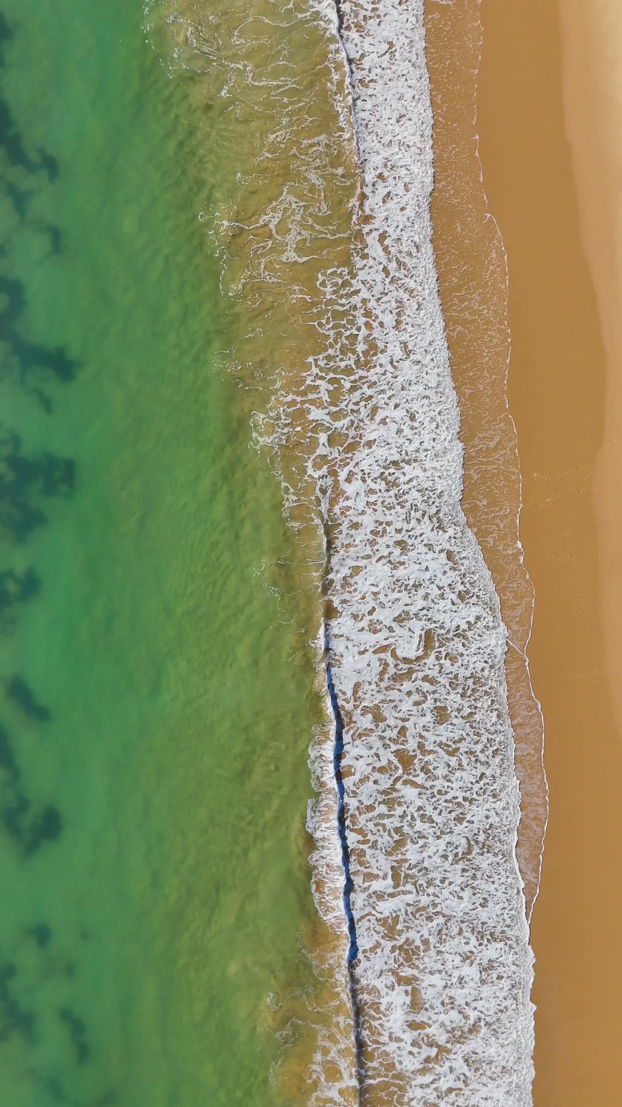 Video by Efrem  Efre