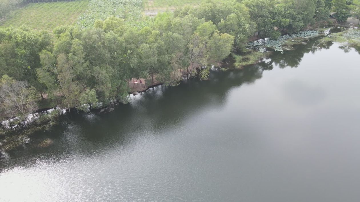 Aerial View of Serene Forested Lakeside Free Stock Video Footage ...
