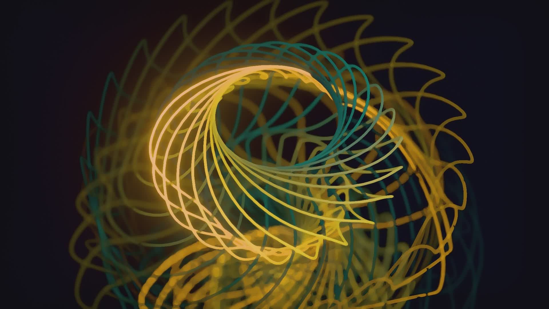 Video by Nicola Narracci