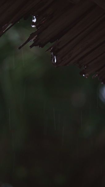 水珠滴落免费下载免费下载视频素材视频素材视频素材