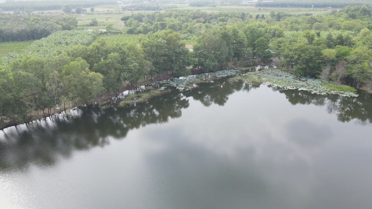 Serene Aerial View of Forest and Lake Free Stock Video Footage, Royalty ...