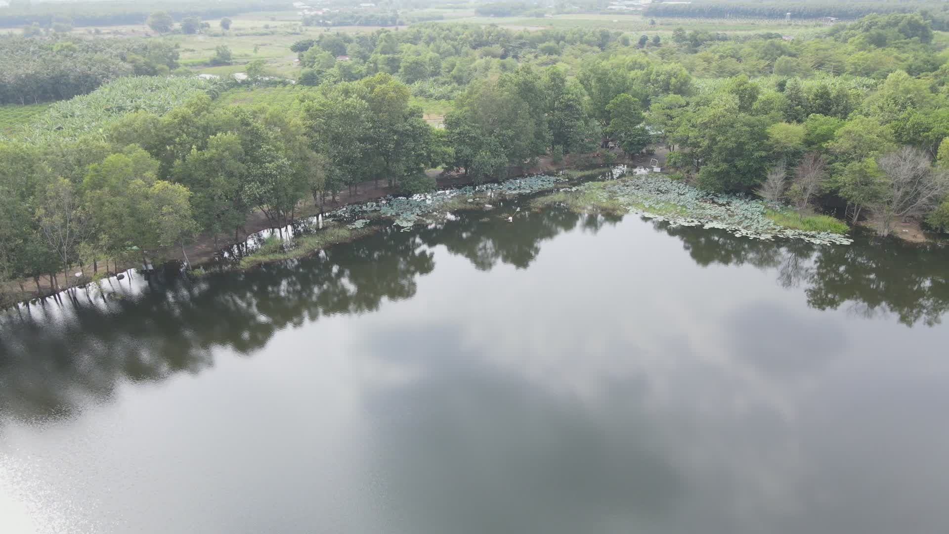 Serene Aerial View of Forested Lake Area Free Stock Video Footage ...