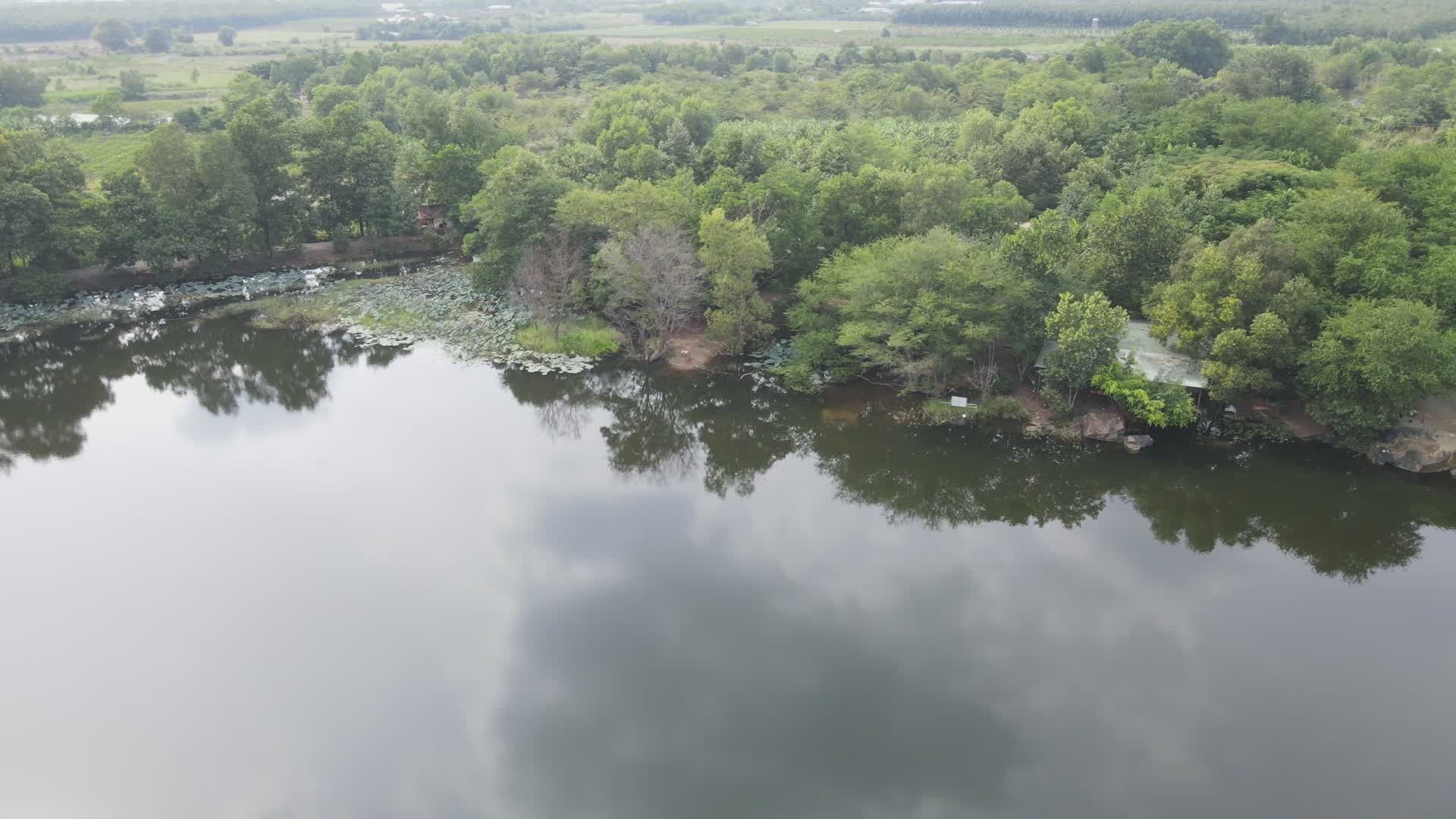 Serene Aerial View of Forested Lake Free Stock Video Footage, Royalty ...