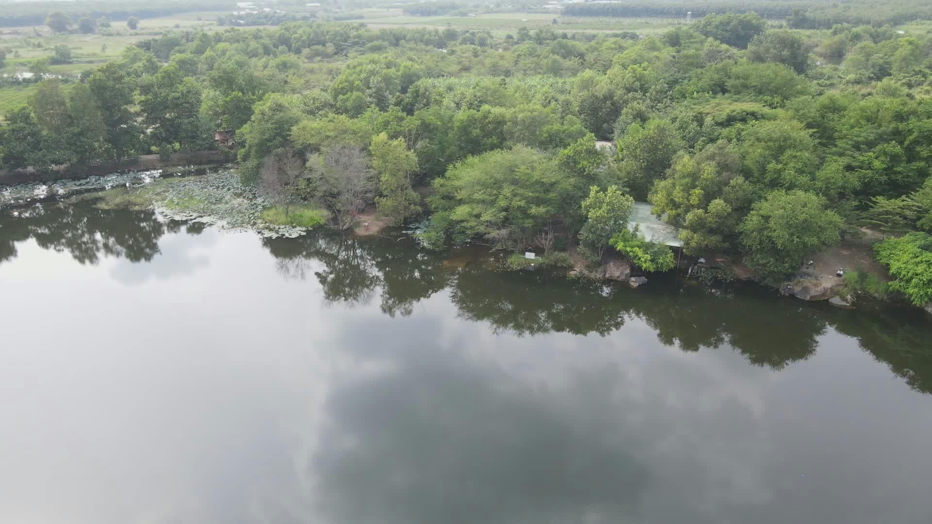 Video by NGUYỄN THÀNH NHƠN