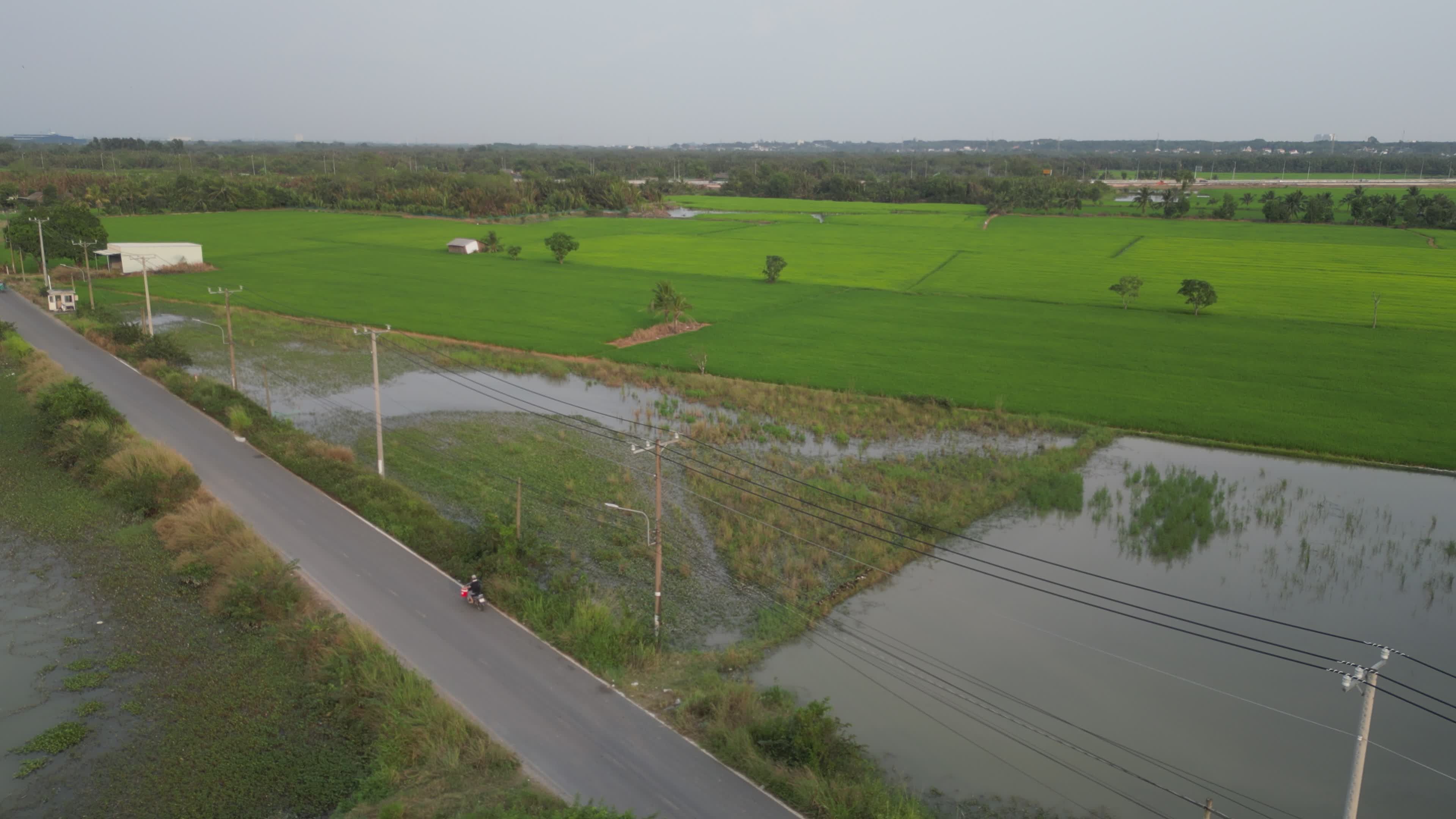 Aerial View of Lush Green Fields and Road Free Stock Video Footage ...