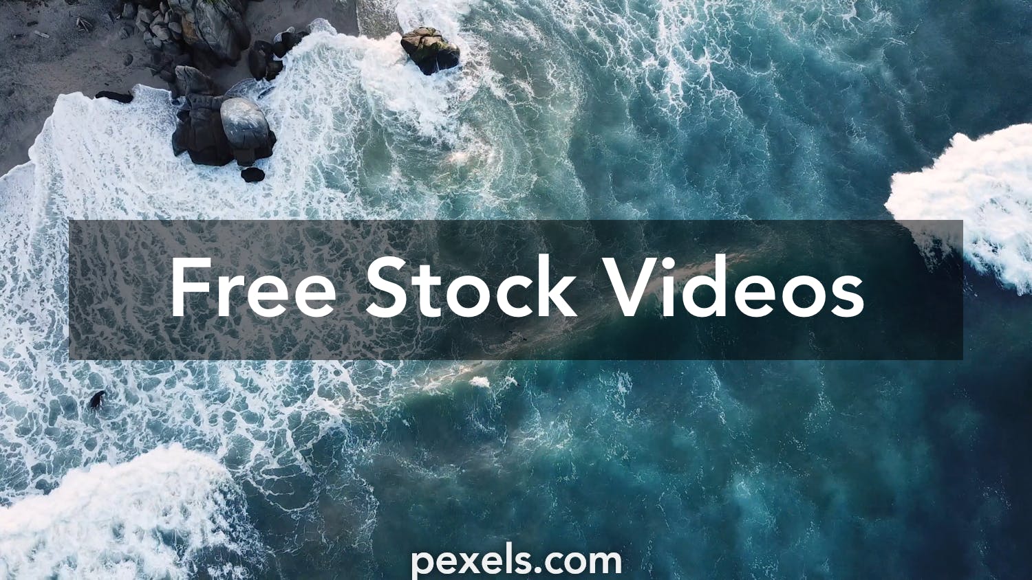 Nature Videos, Download The BEST Free 4k Stock Video Footage & Nature HD Video  Clips