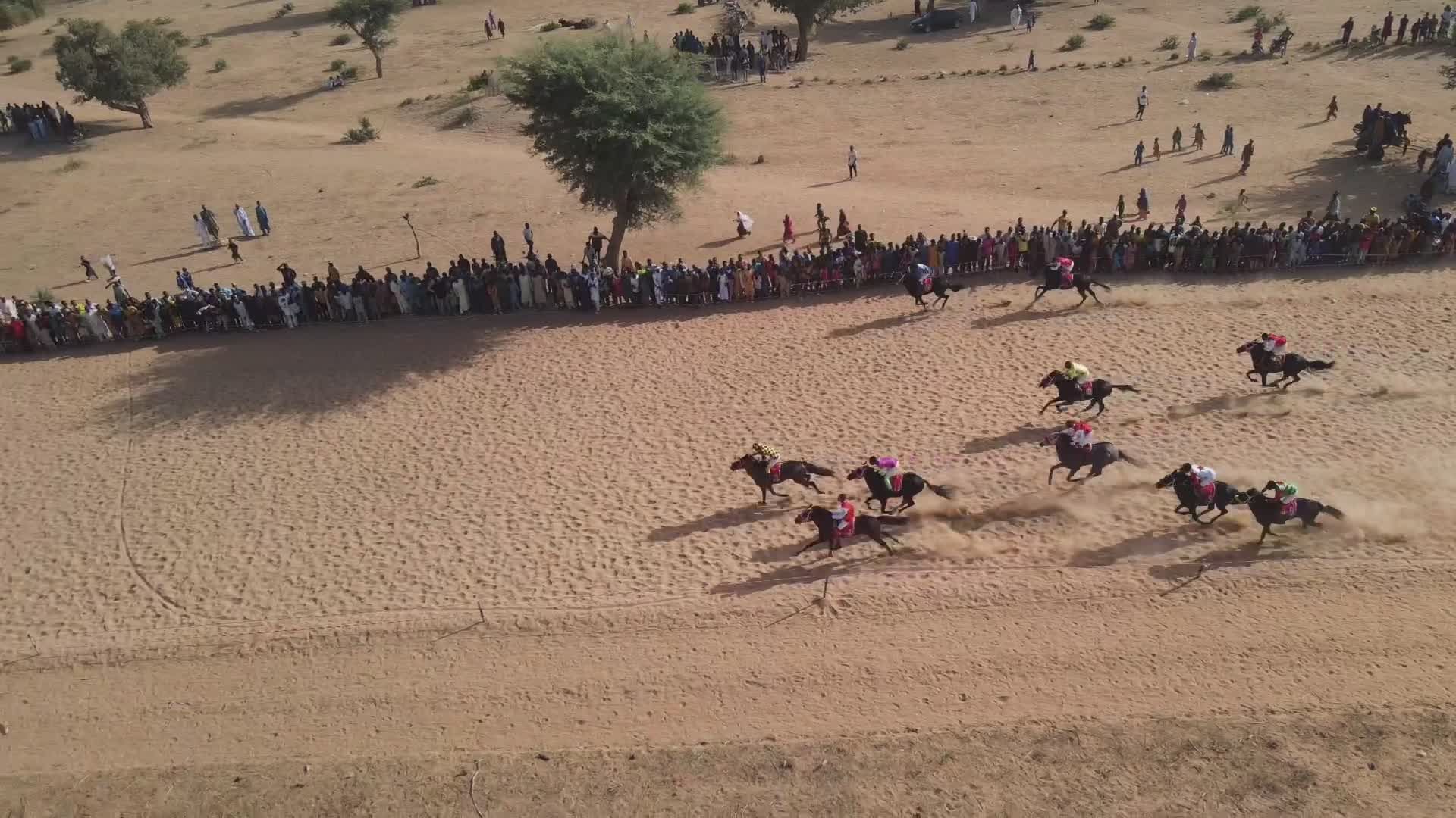 Horse Racing Ostrich Videos, Download The BEST Free 4k Stock Video ...