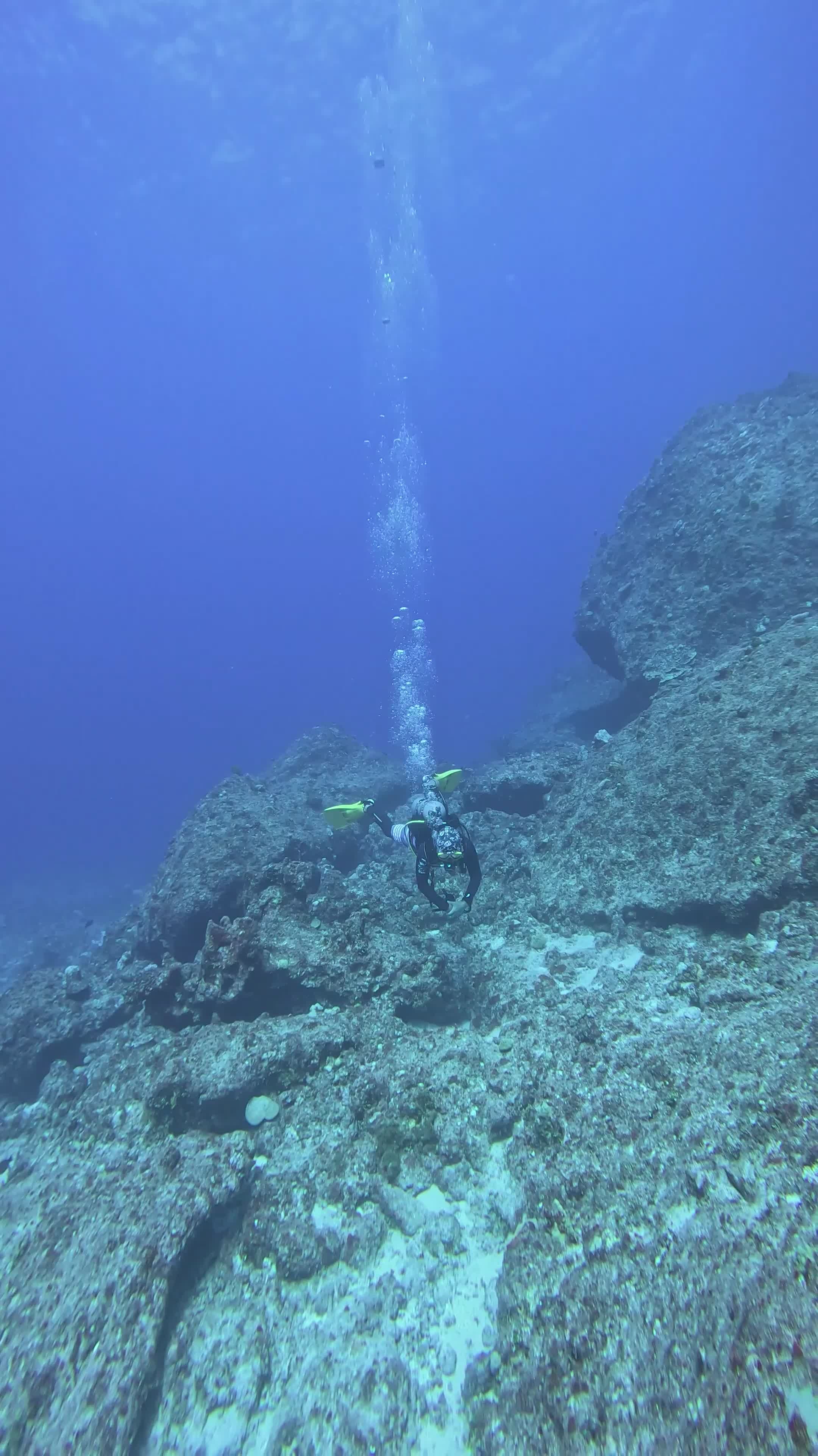 Scuba Diver Exploring Vibrant Coral Reefs Free Stock Video Footage ...