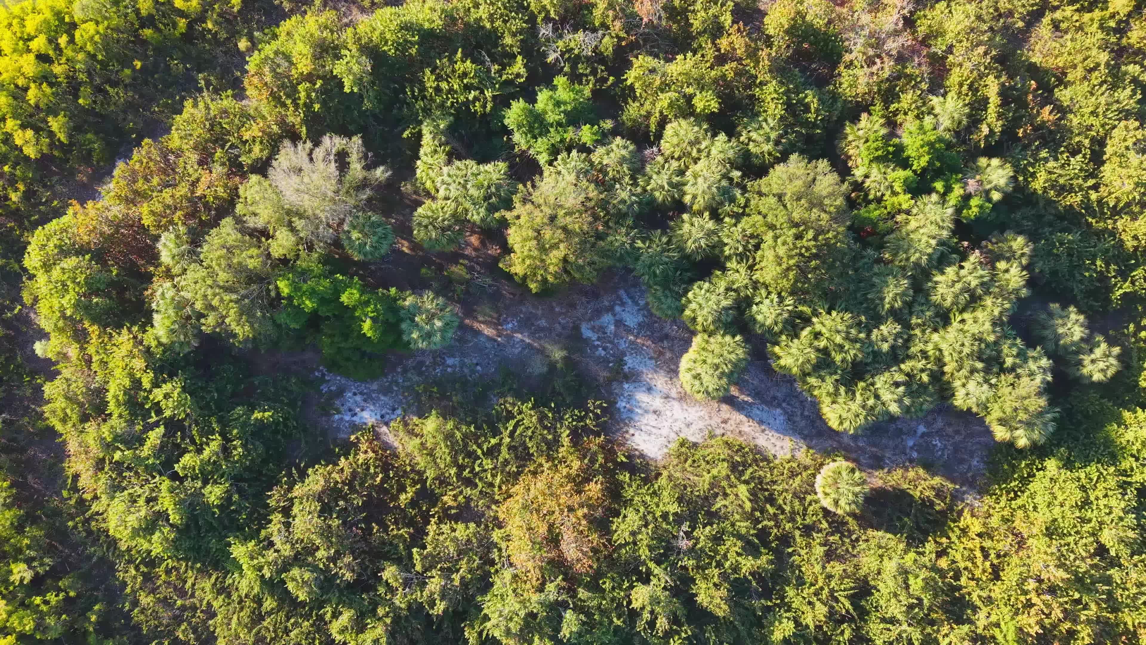 Scenic Aerial View of Lush Green Island Free Stock Video Footage ...