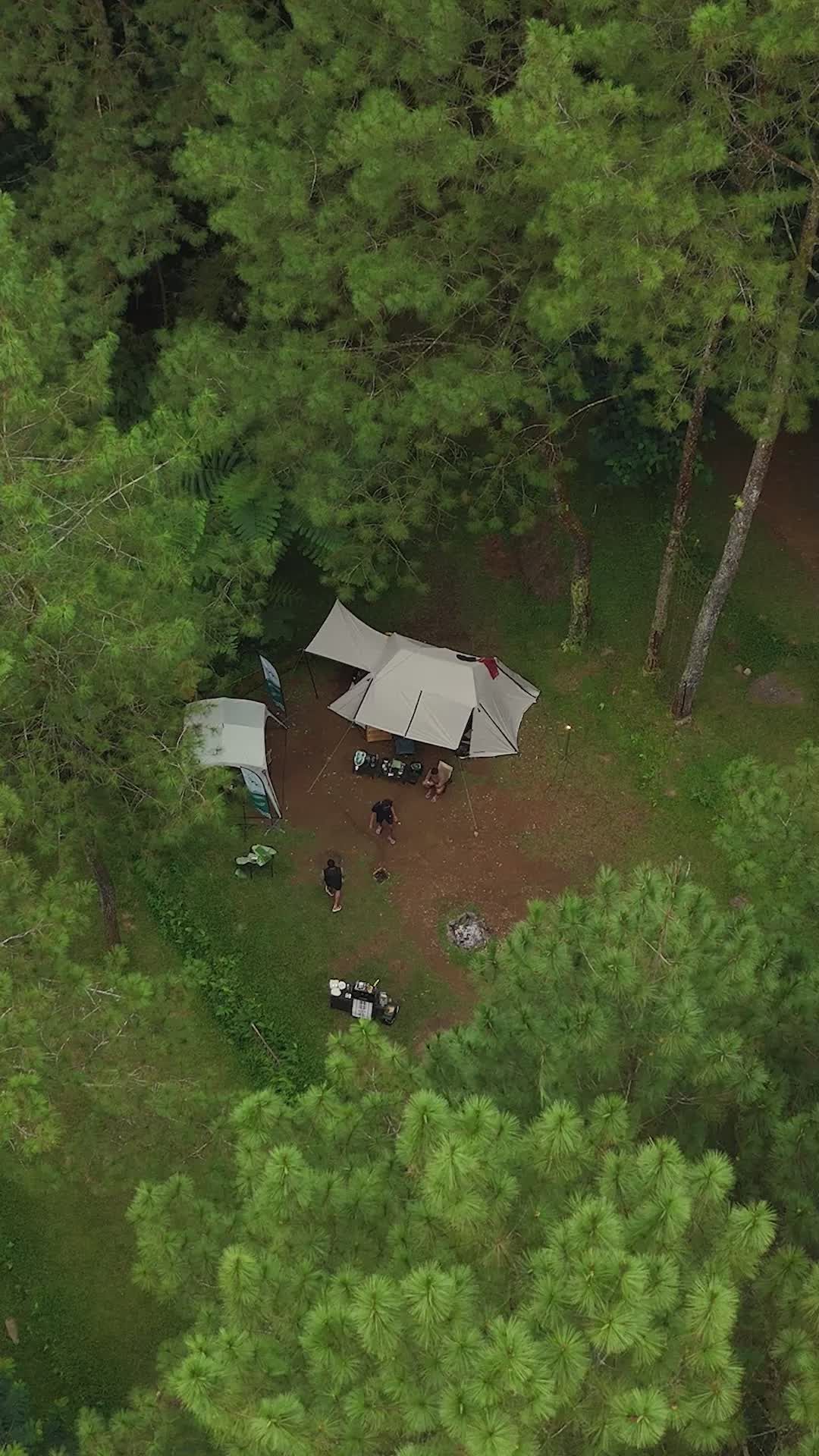 Aerial View of Forest Camping Setup Free Stock Video Footage, Royalty ...