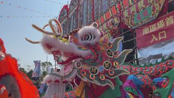 春节免费下载视频素材