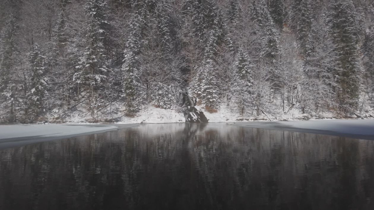 Serene Winter Lake Reflecting Snowy Forest Free Stock Video Footage ...