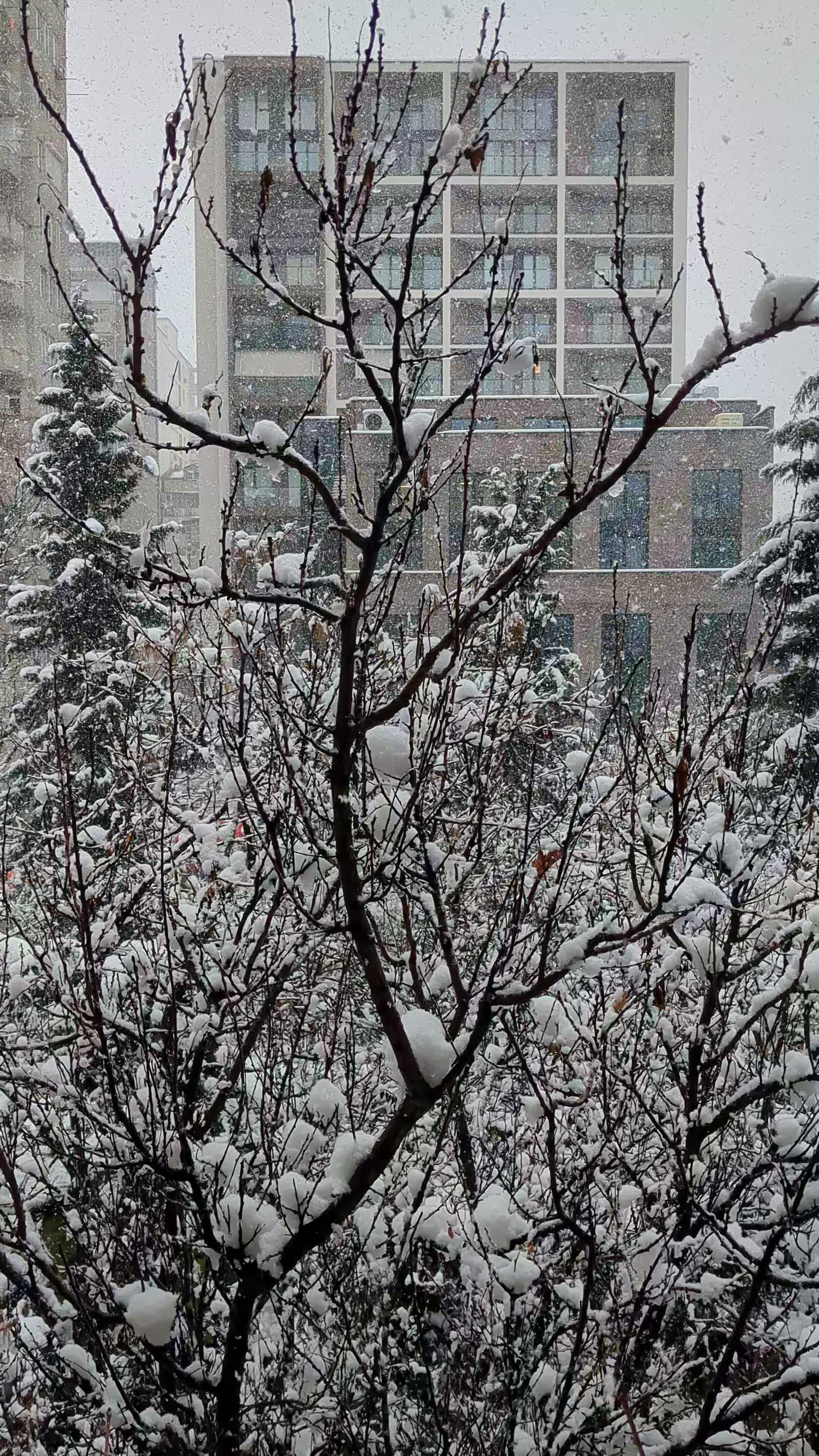urban winter wonderland with snowfall 35737423