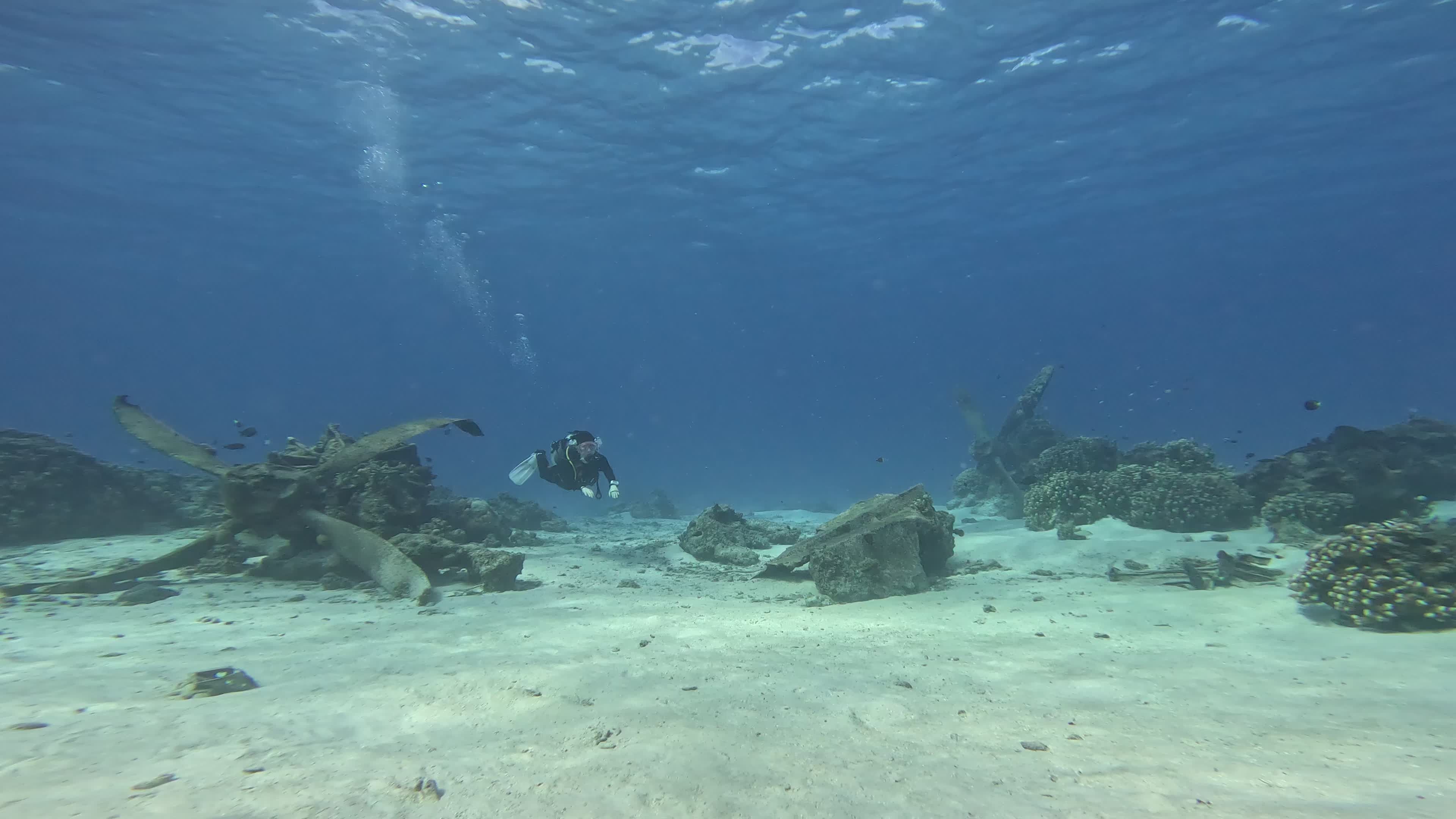 Serene Underwater Scuba Diving Adventure Free Stock Video Footage ...