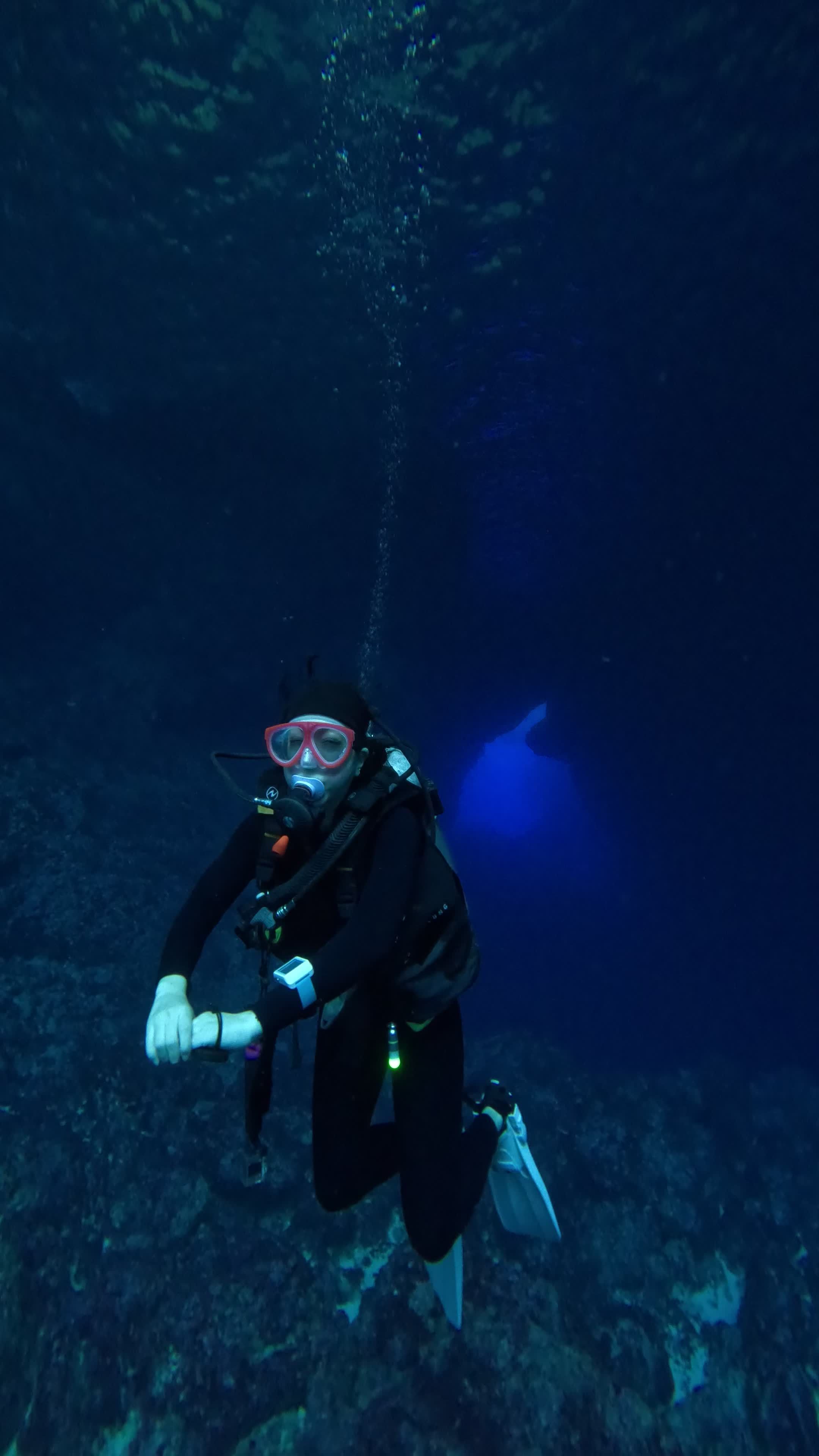 Scuba Diving in Pristine Underwater Paradise Free Stock Video Footage ...