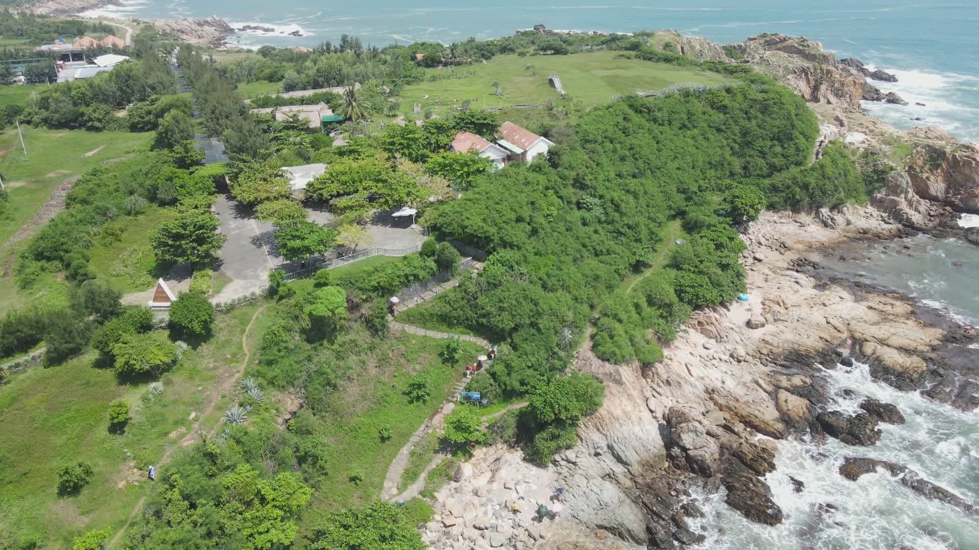 Aerial View of Coastal Landscape with Greenery Free Stock Video Footage ...