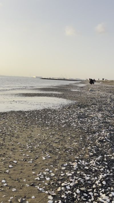 RABIN Bhandari's ocean waves sunset video