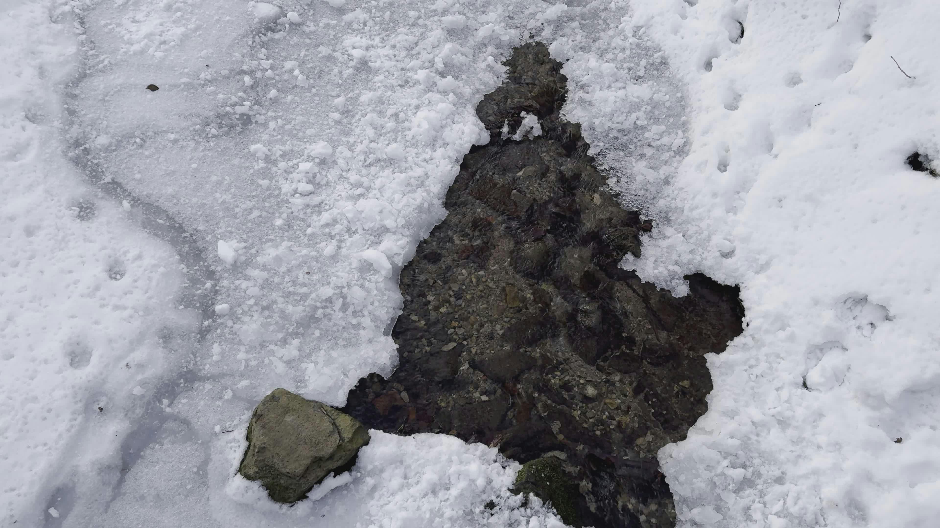 Video by Dániel Csík