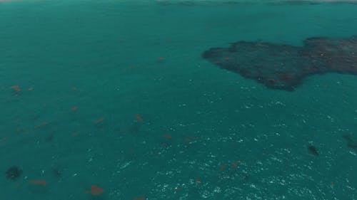 Drone Footage Of An Island Beach Resort