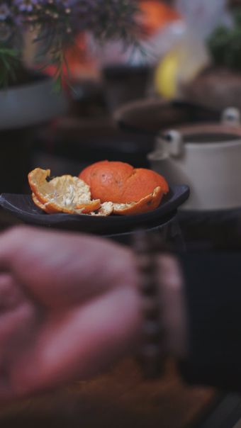 陈皮免费下载视频素材