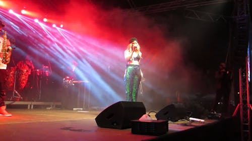 A Singer Performing On Stage At Sebis Festival In Romania