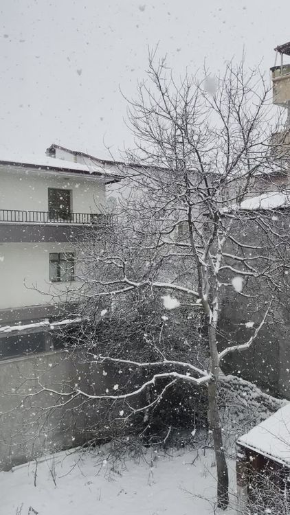 Snowfall Video Download Peaceful Winter Snowfall in Residential Area Free Stock Video Footage ...