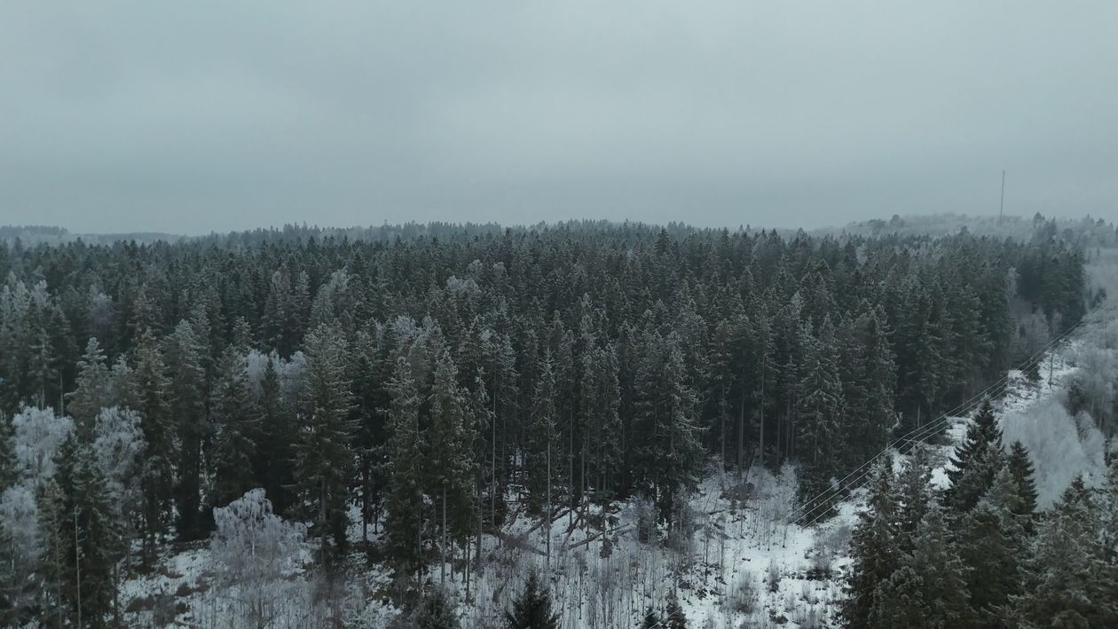 Serene Aerial View of a Snowy Winter Forest Free Stock Video Footage ...