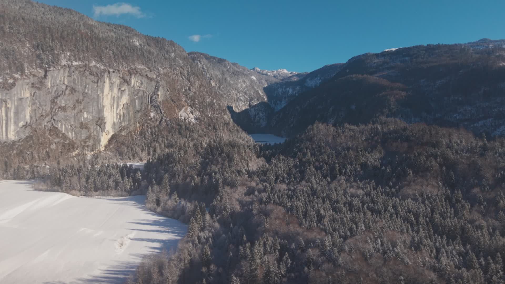 Stunning Winter Aerial View of Snowy Forest and Mountains Free Stock ...