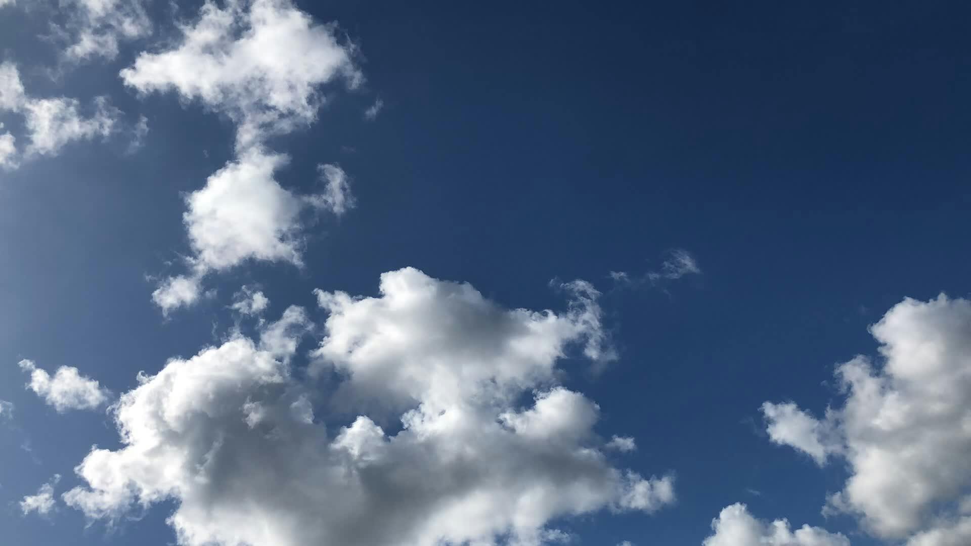 Video by Henry Kim