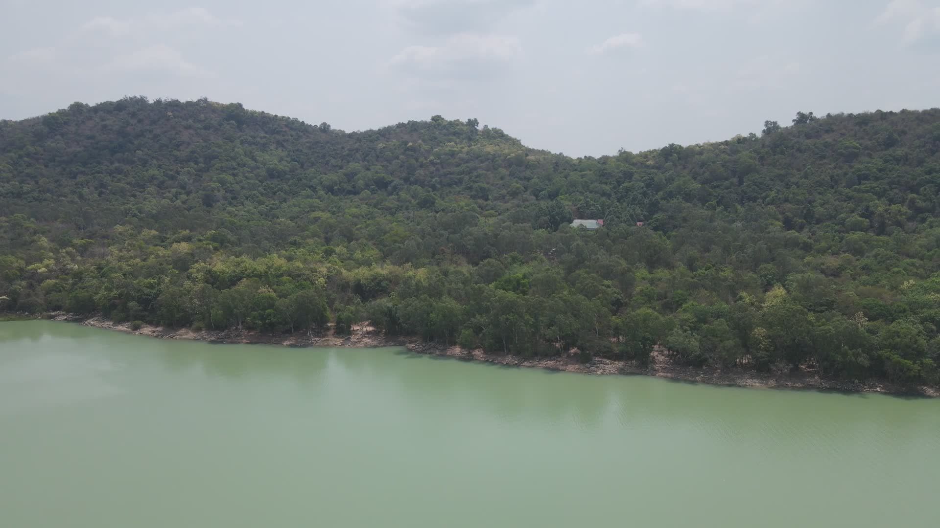 Aerial View of Lush Green Forest by Calm Lake Free Stock Video Footage ...