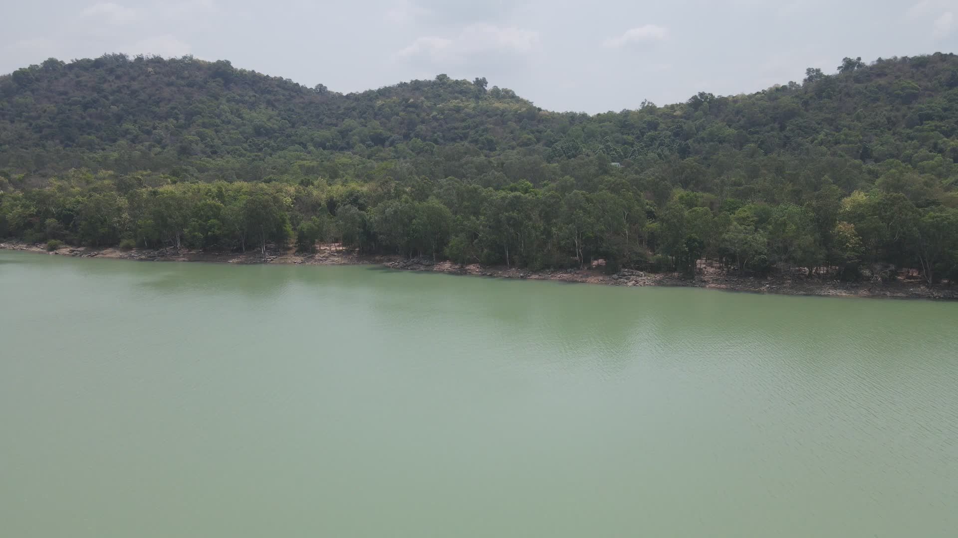 Serene Aerial View of Lush Green Lake and Forest Free Stock Video ...