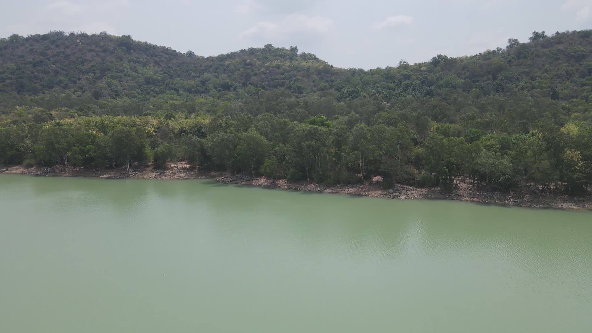 Serene Aerial View of Tranquil Forest Lake Free Stock Video Footage ...